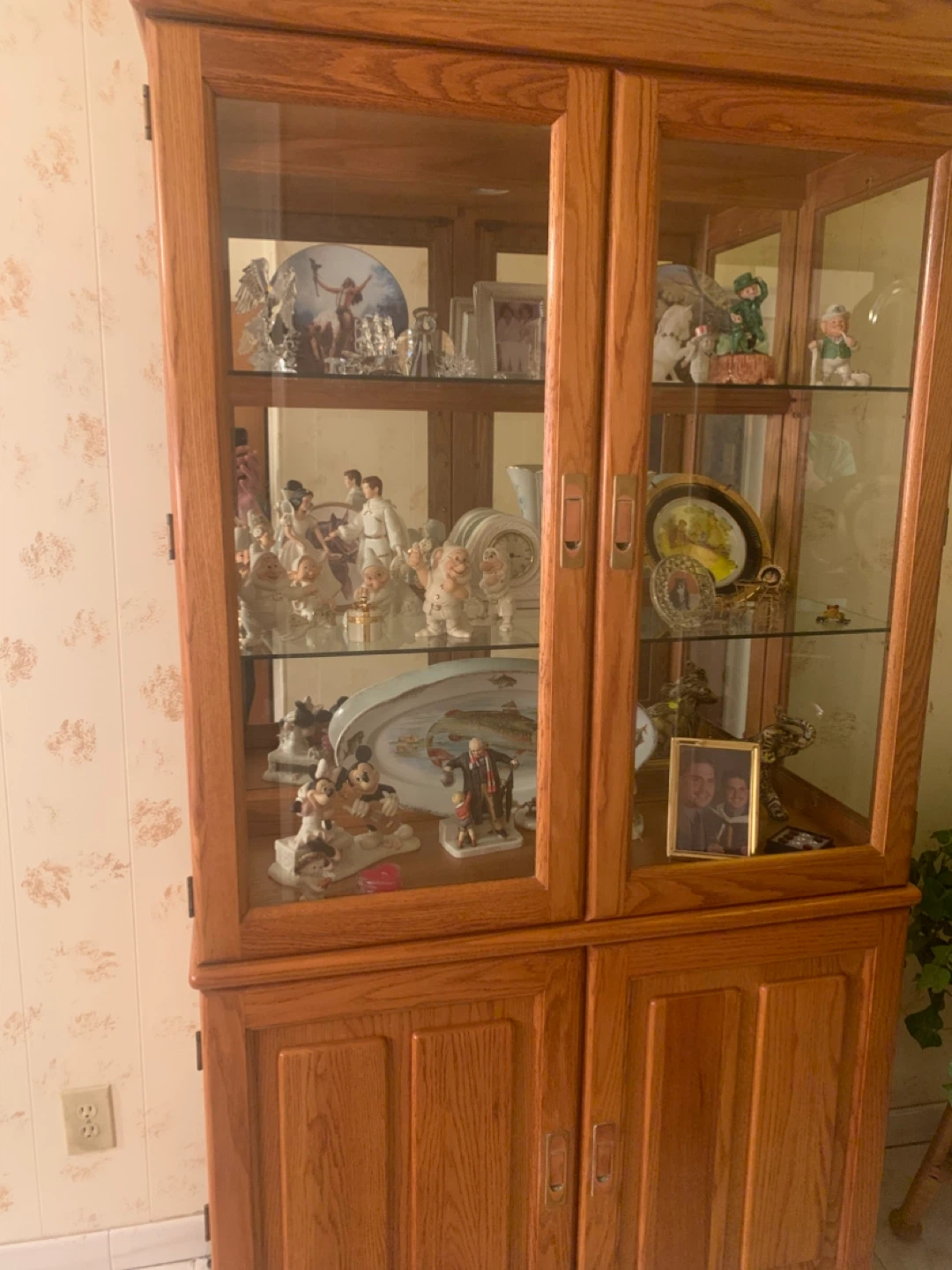 Oak Display Cabinet with Glass Doors