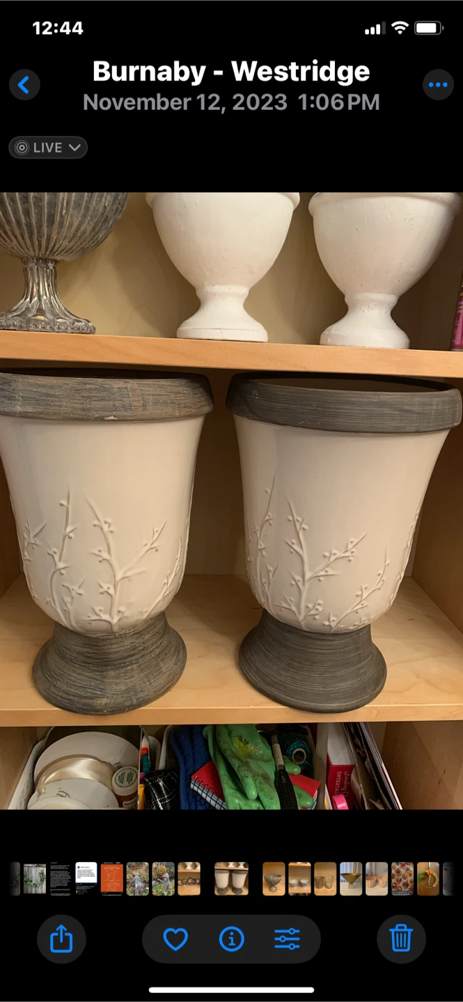 Pair of White Planters 🏆