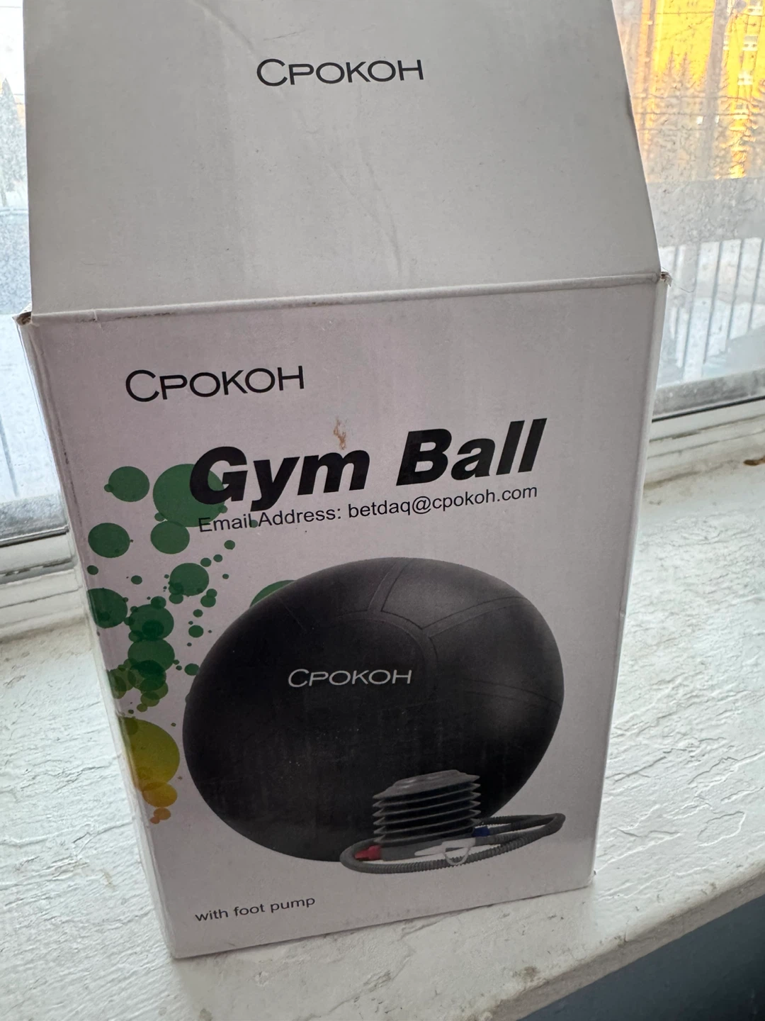 Spokoh Gym Ball with Foot Pump