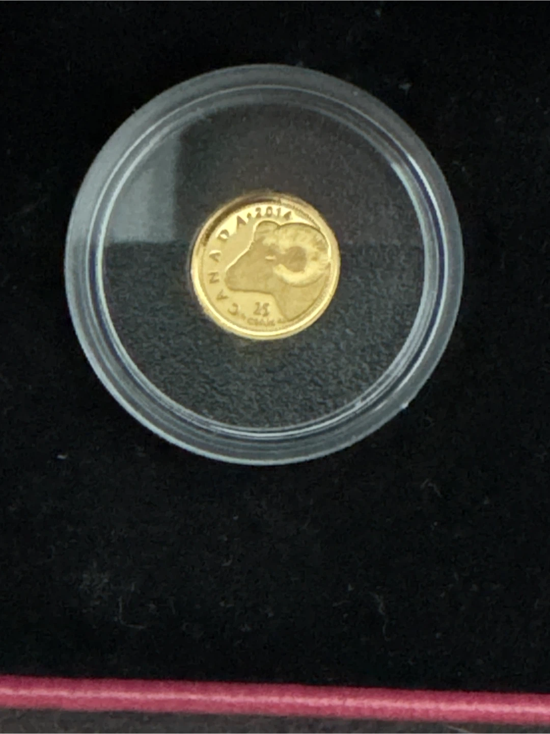 2014 0.5g Fine Gold Coin Rocky Mountain Bighorn Sheep🏆 - photo 2