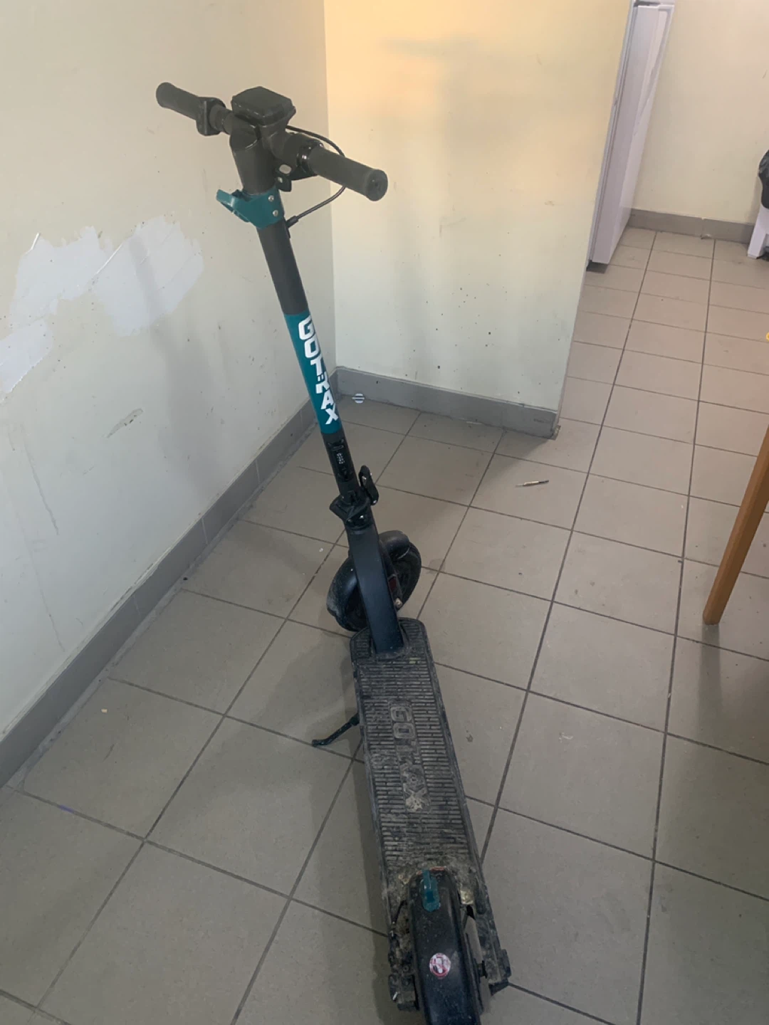 GOTRAX Electric Scooter