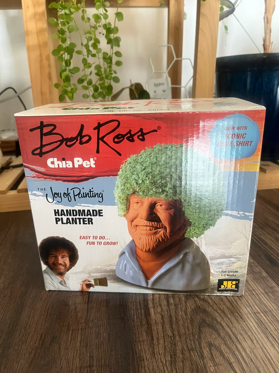 Bob Ross Chia Pet Planter 🏆