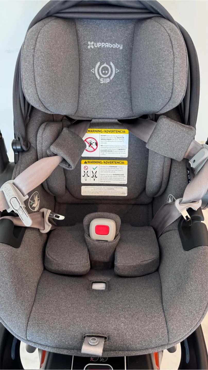 UPPAbaby Aria Infant Car Seat - photo 2