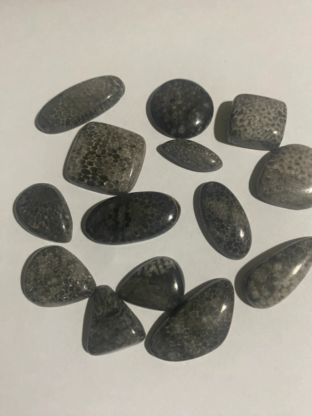 Chrinoid fossils  🏆 - photo 4