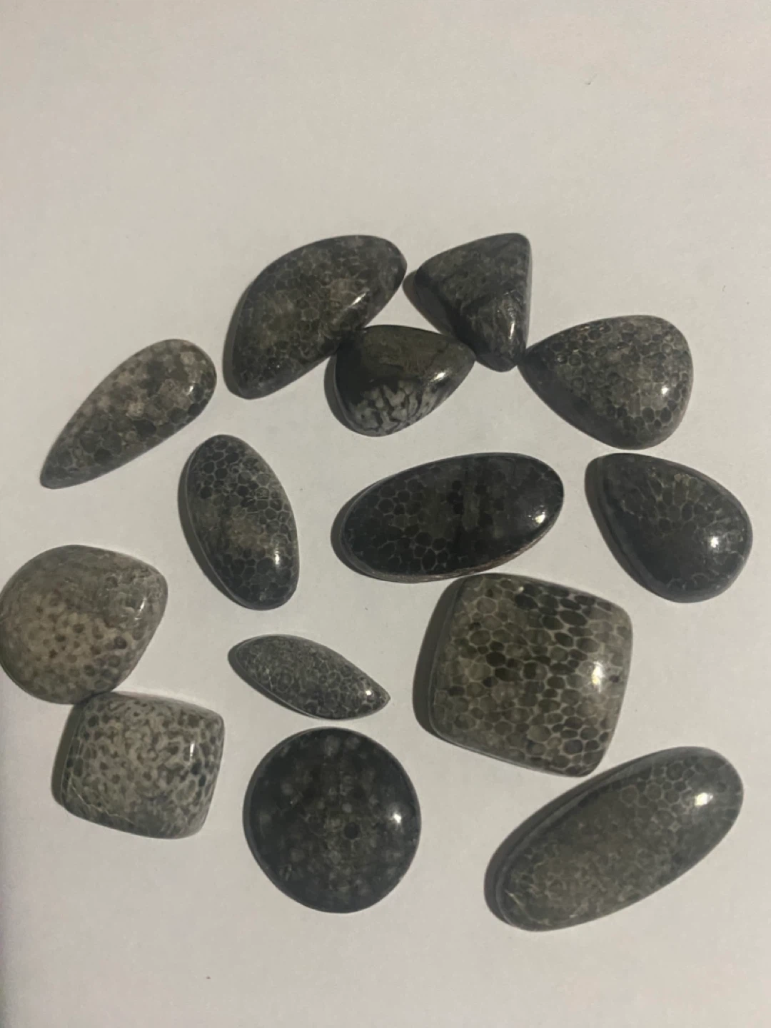 Chrinoid fossils  🏆 - photo 2