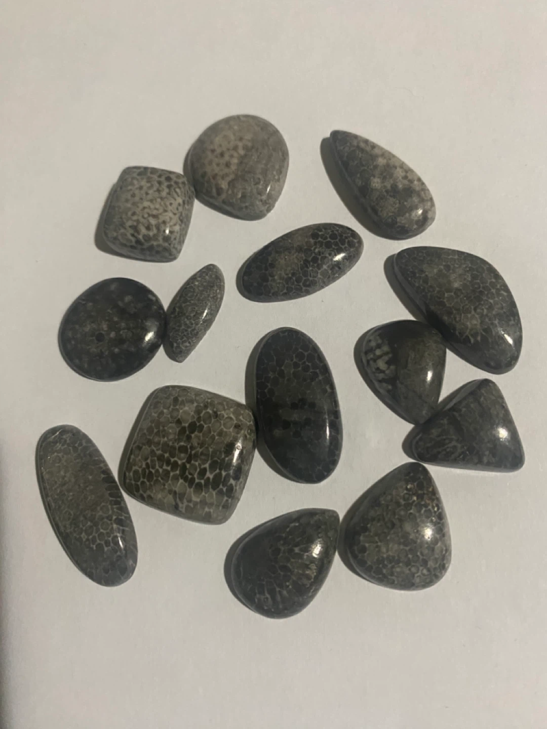 Chrinoid fossils  🏆 - photo 3