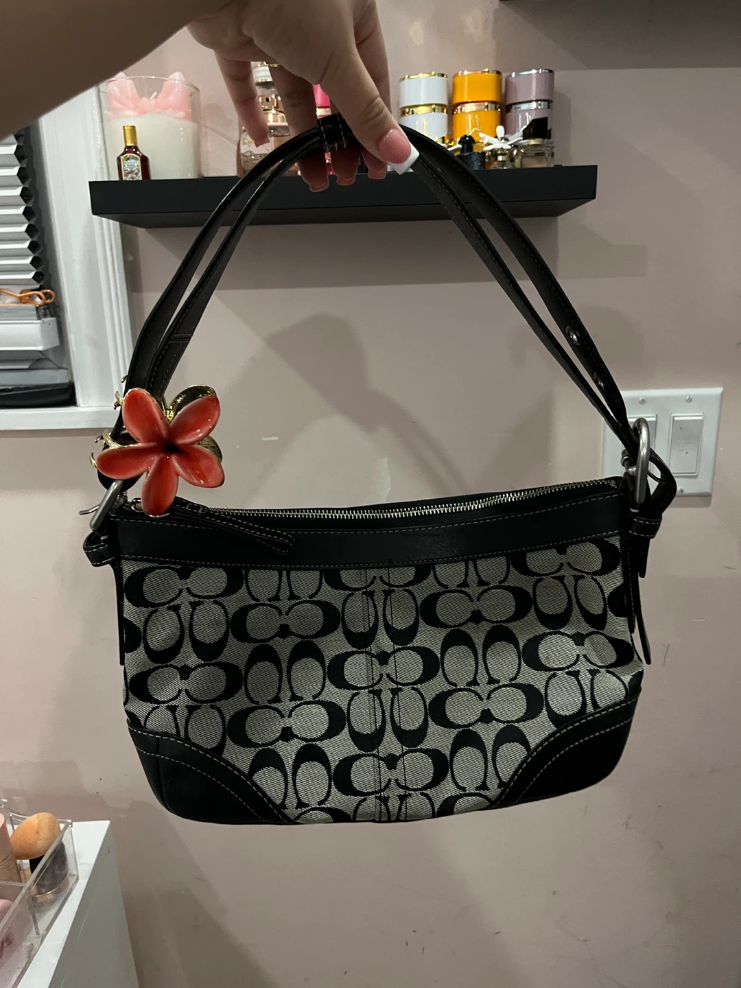 Vintage coach bag