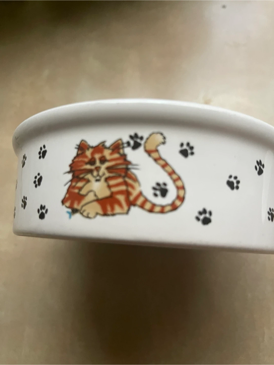 🏆" White Ceramic Cat Bowl with Fishbone and Paw Print Design