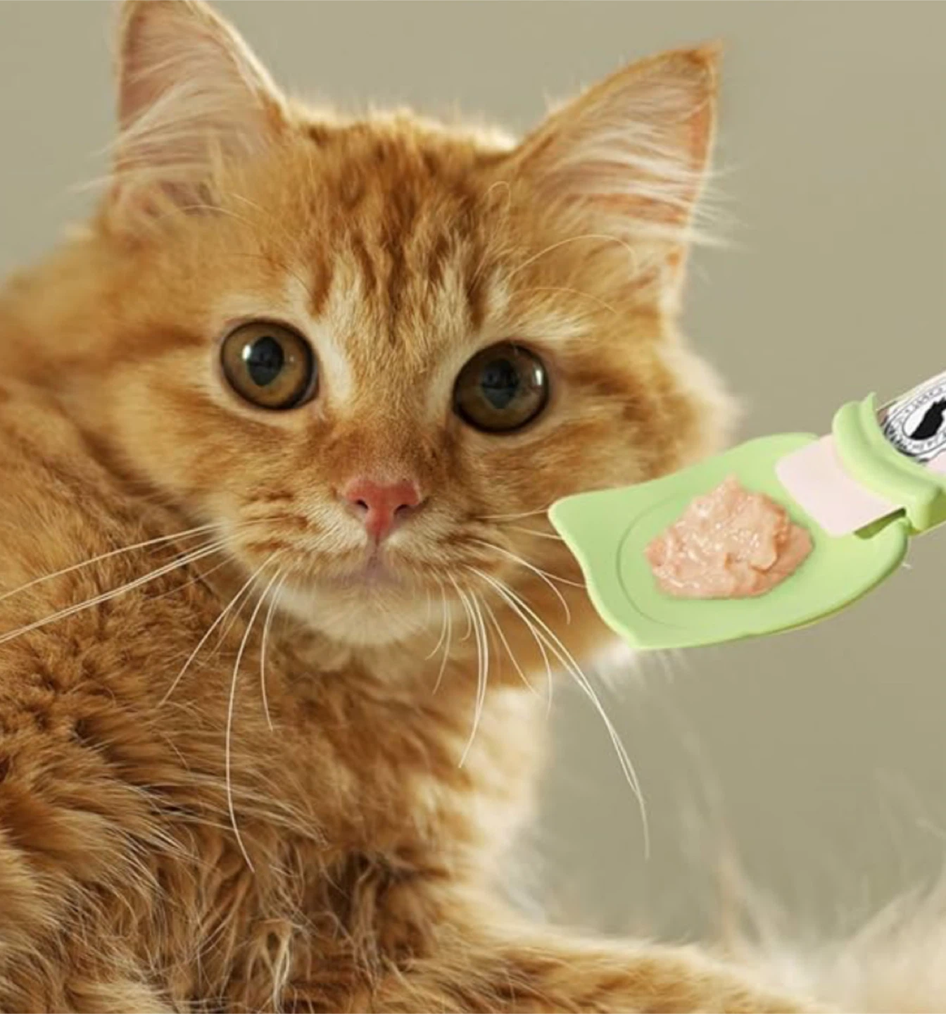 🏆" Cat Feeding Spoon with Wide Mouth and Slide Extruder - photo 5