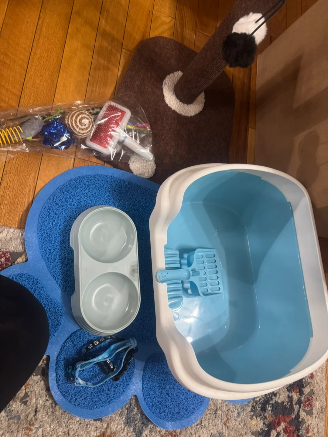 Cat Starter Kit with Litter Box and Accessories 🏆 - photo 2