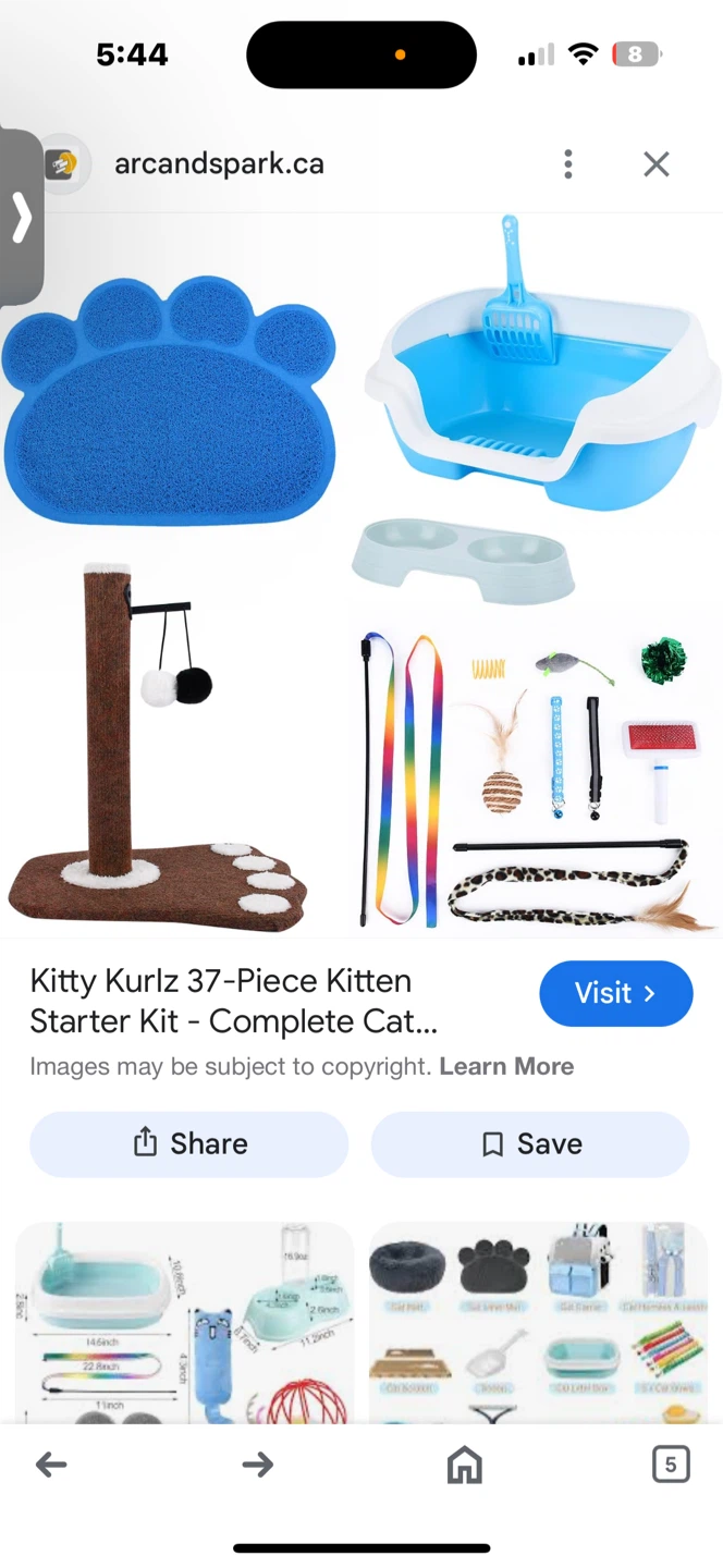 Cat Starter Kit with Litter Box and Accessories 🏆