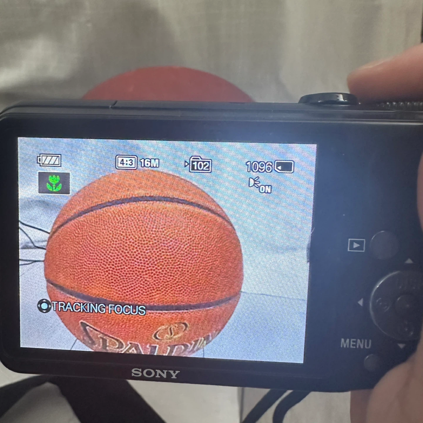 Sony Cyber-shot DSC-H90 digital camera - photo 5