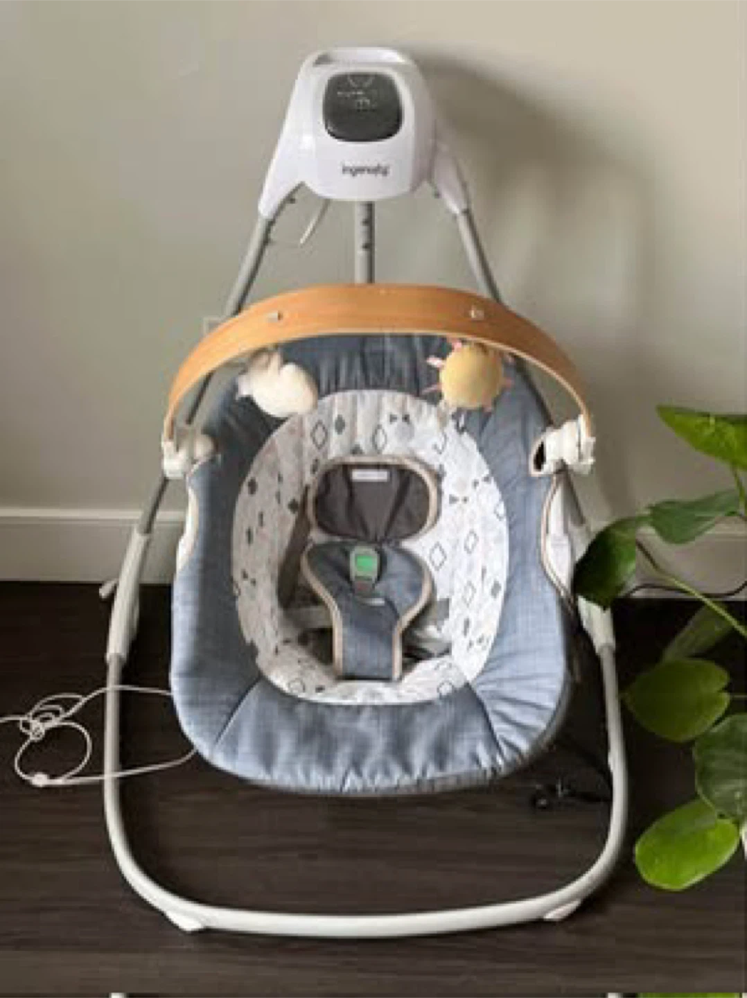Ingenuity Baby Swing