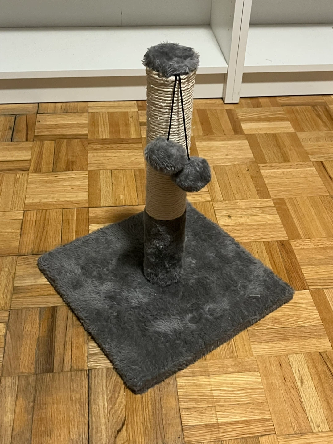 Cat Scratching Post 🏆