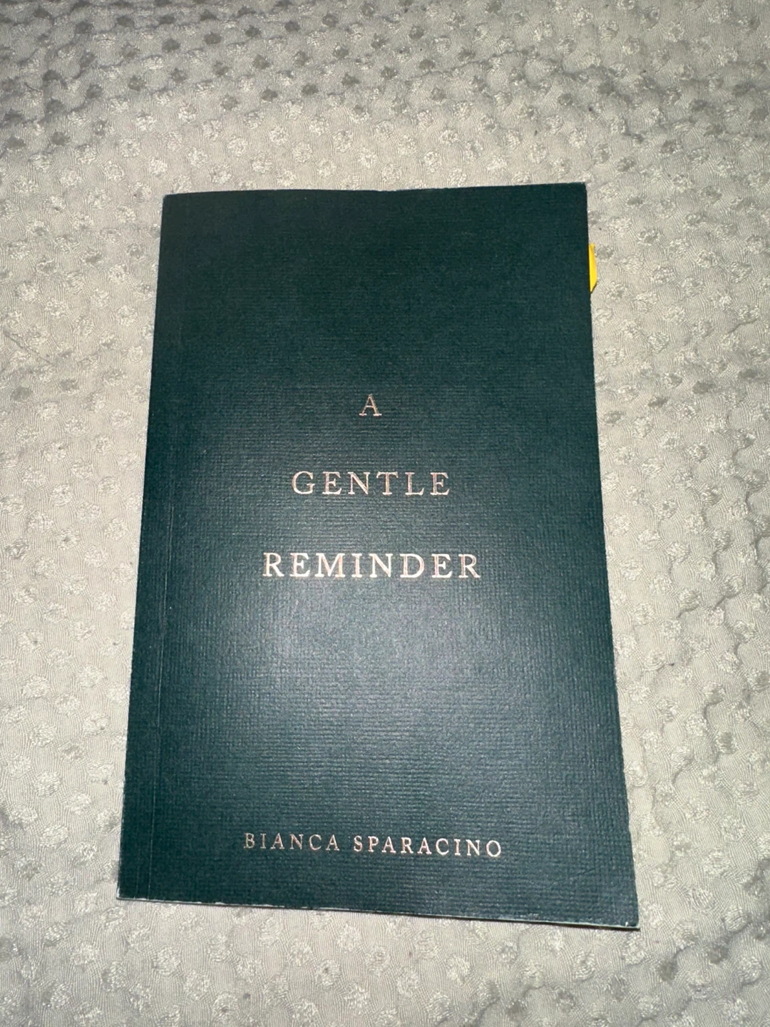 A Gentle Reminder Book by Bianca Sparacino🏆