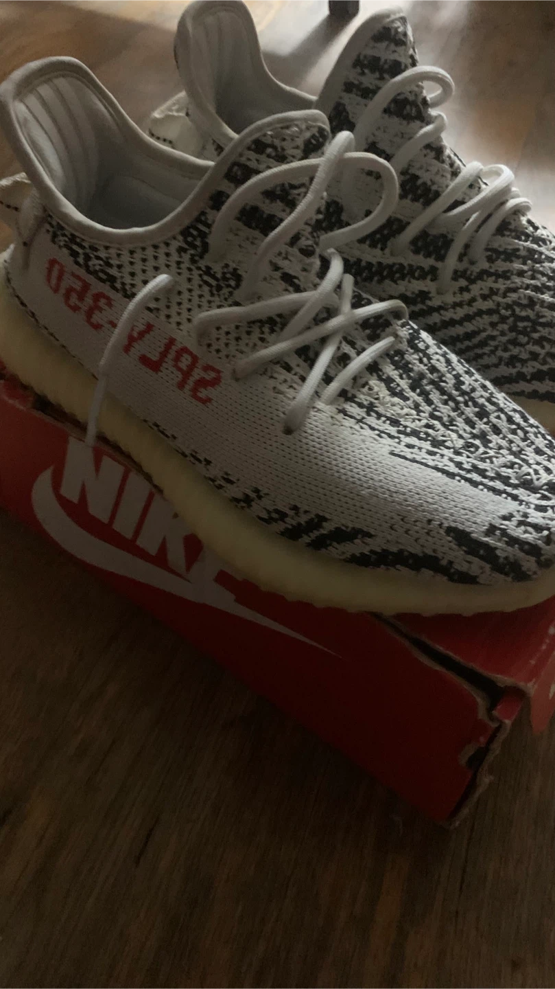 Adidas Yeezy Boost 350 V2 Zebra