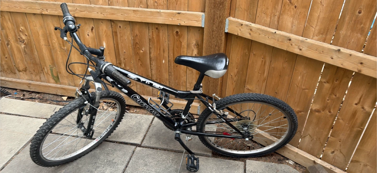 Carrera Black Mountain Bike