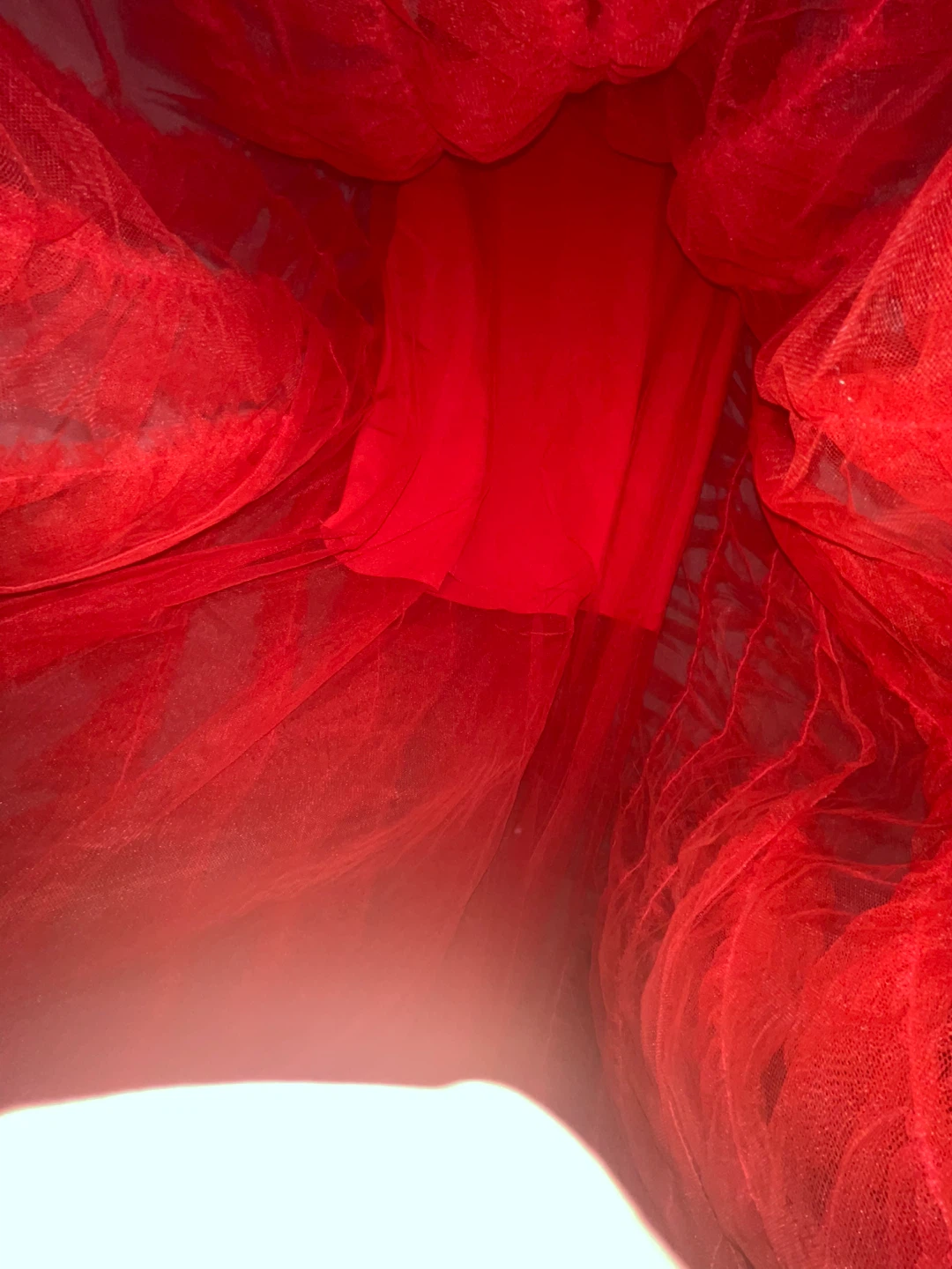 Red Tulle Gown - photo 3