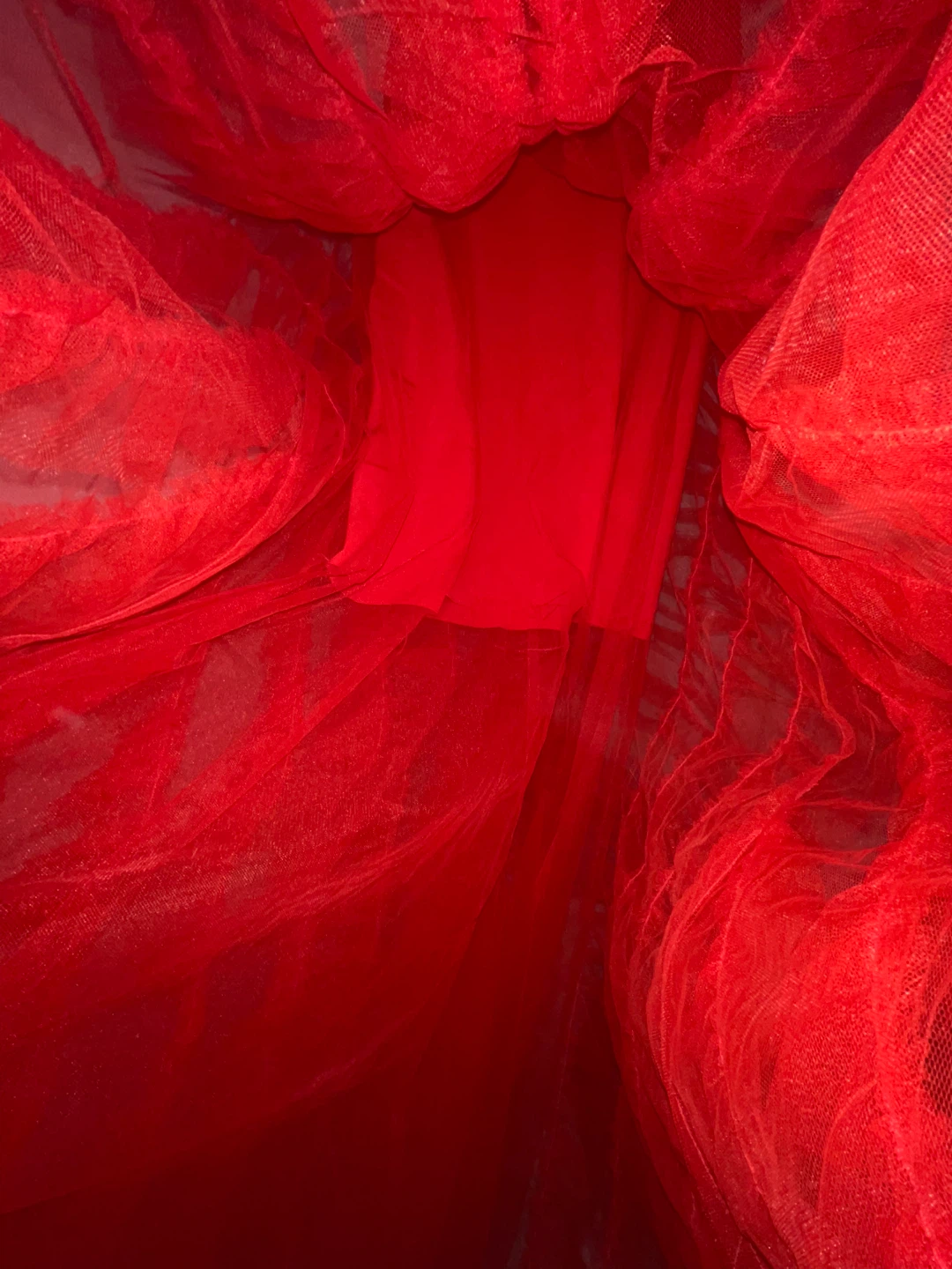 Red Tulle Gown - photo 4
