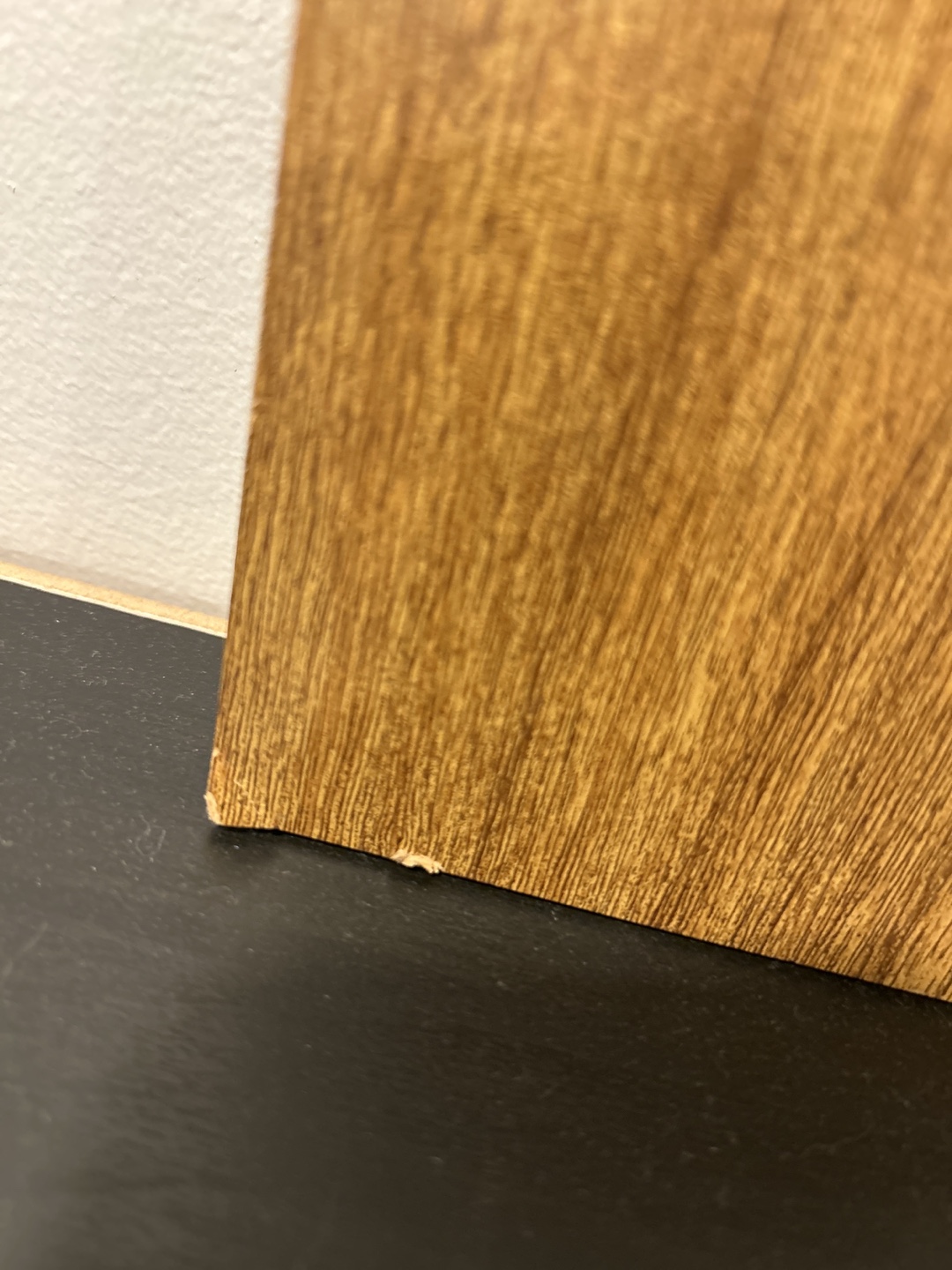 Vintage "Golden Boy" Winnipeg Thermometer Wall Plaque - photo 3