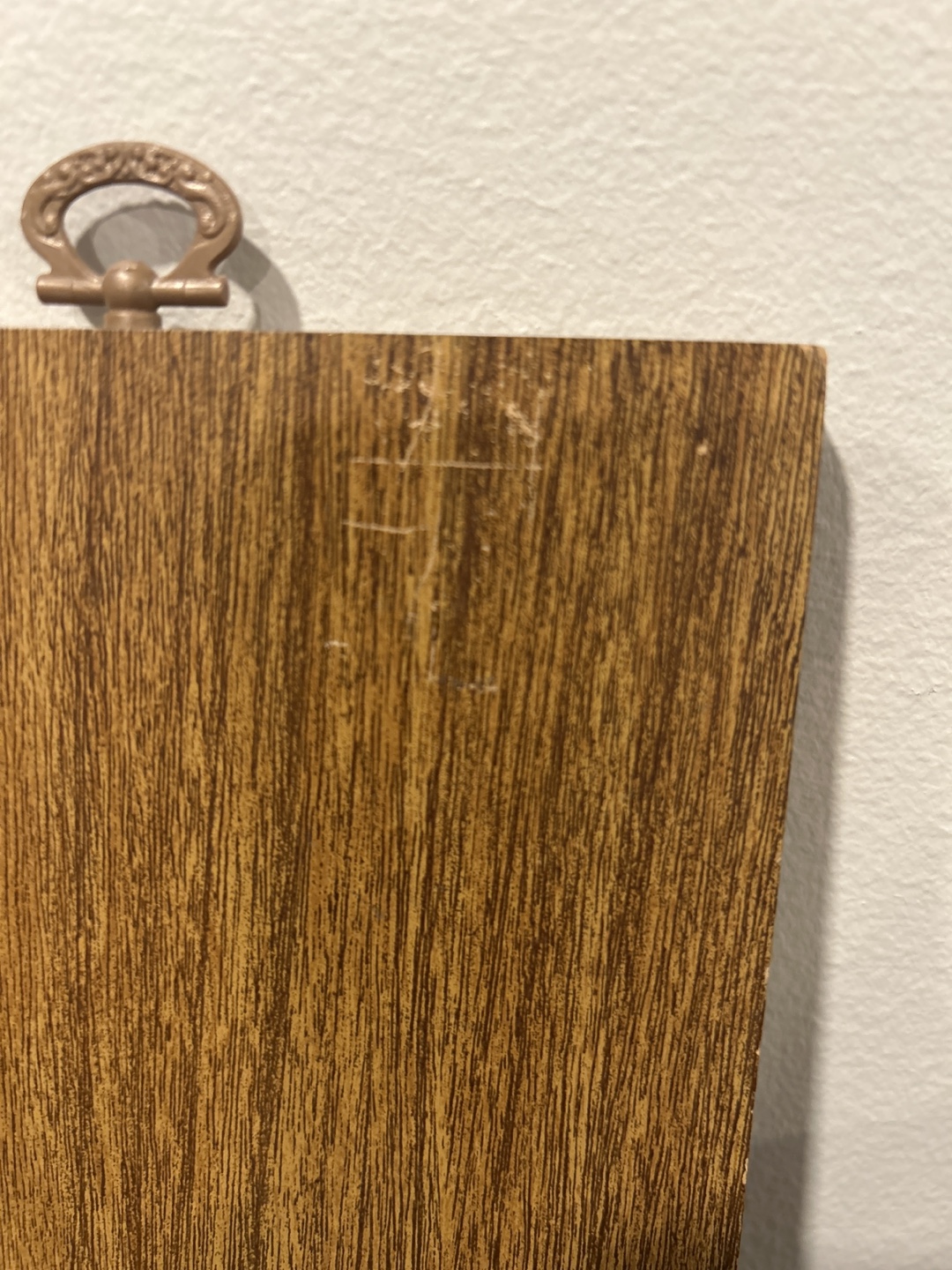 Vintage "Golden Boy" Winnipeg Thermometer Wall Plaque - photo 4