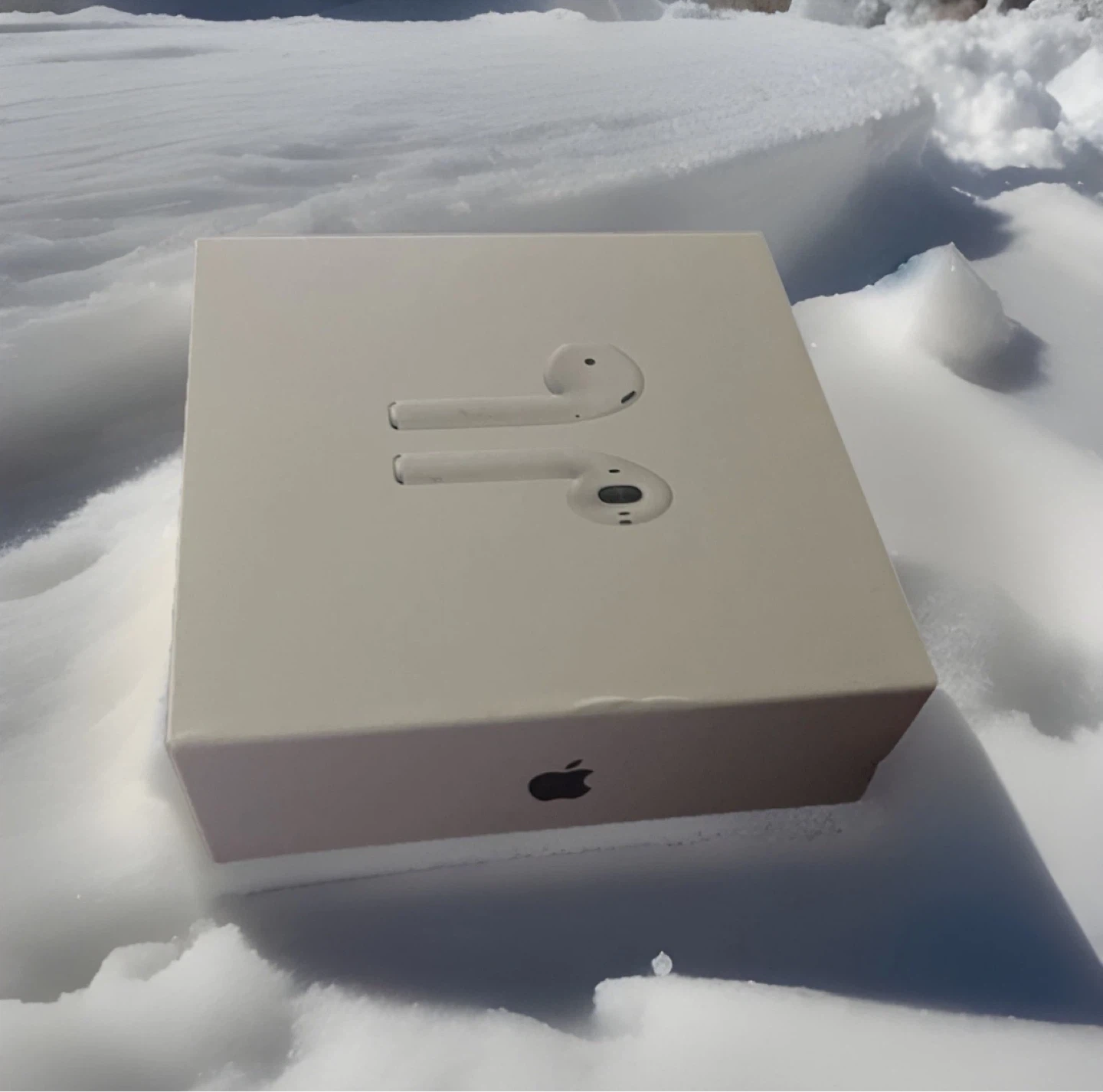 Apple AirPods with Charging Case 🥕