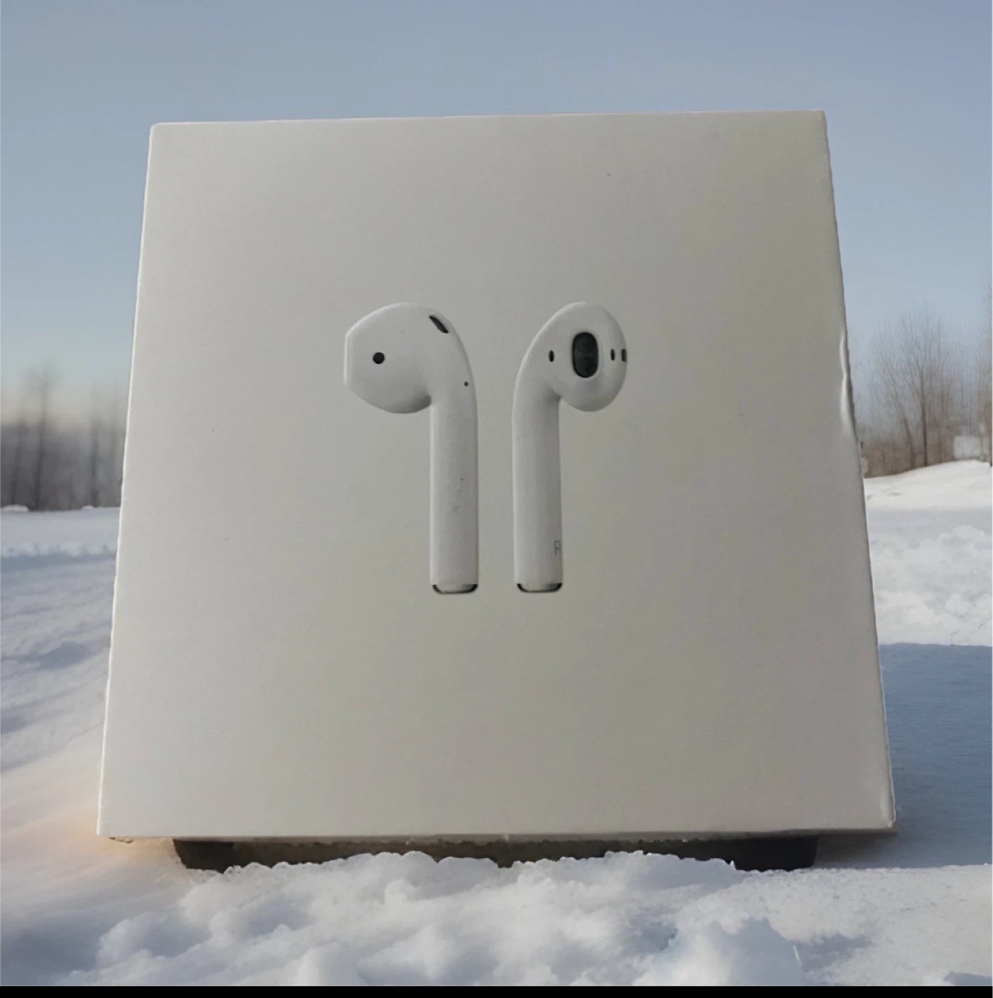 Apple AirPods with Charging Case 🥕 - photo 3