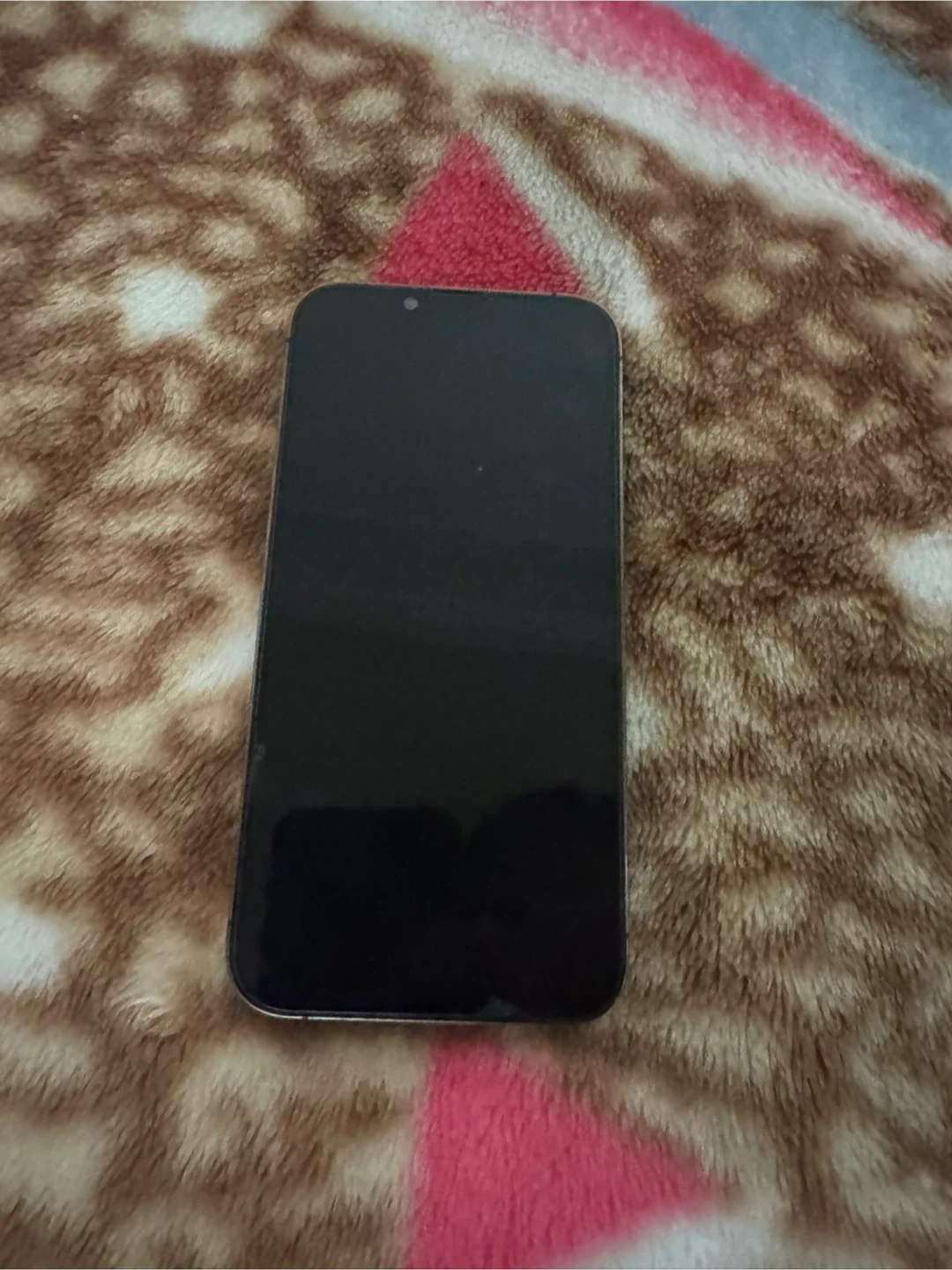 iPhone 13 Pro (Graphite) - photo 4