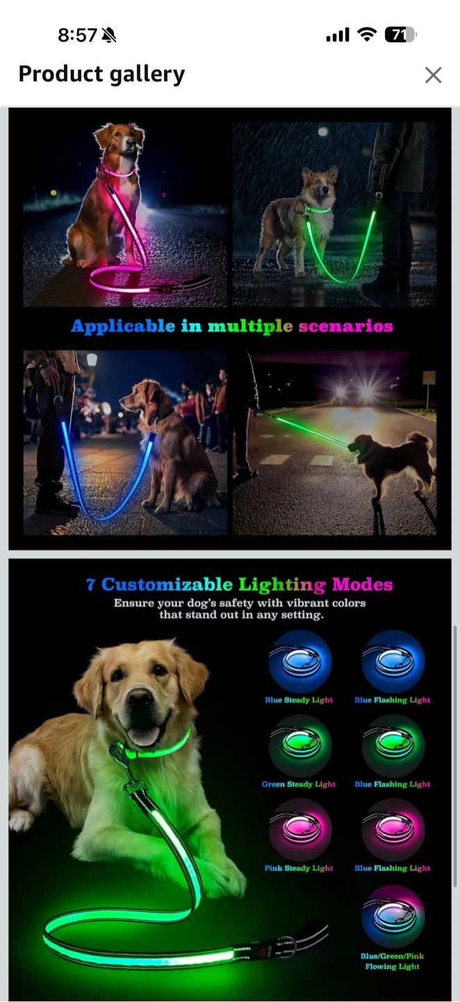 BNIB 4ft LED Light Up Dog Leash🏆 - photo 2