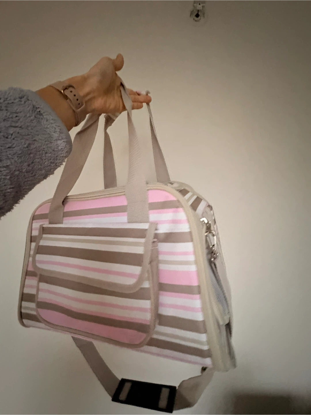 Striped Pet Carrier Bag - photo 2