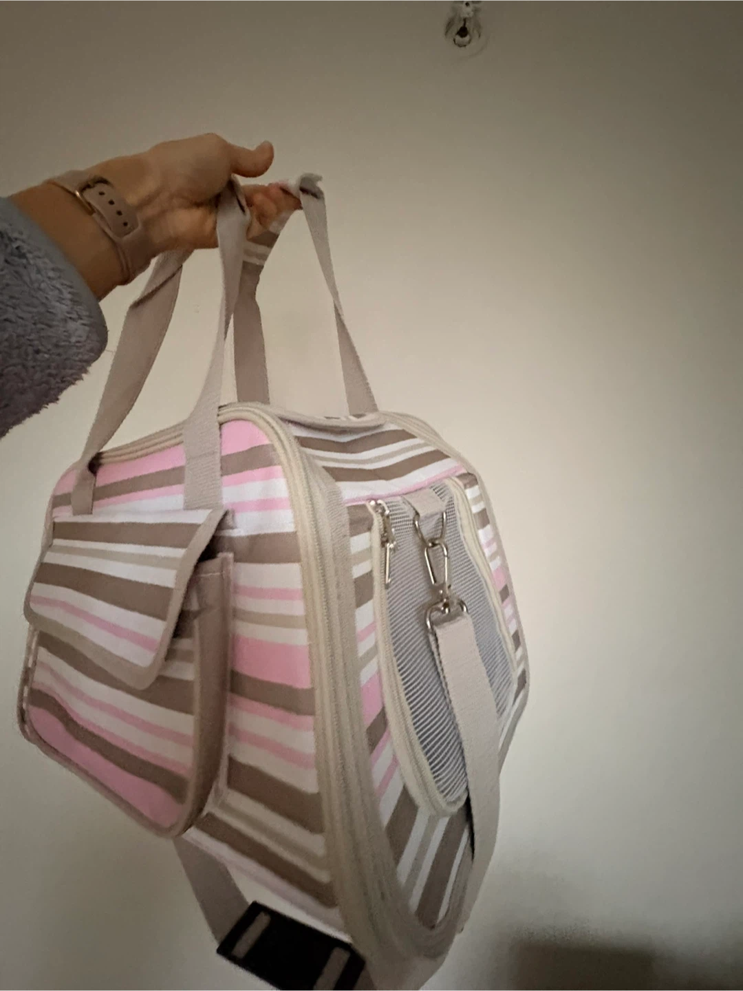 Striped Pet Carrier Bag