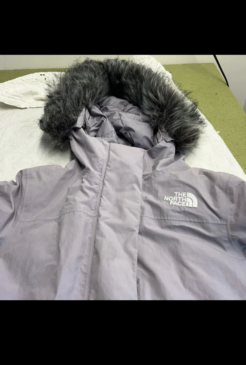 The North Face 550 Down Puffer Parka Jacket