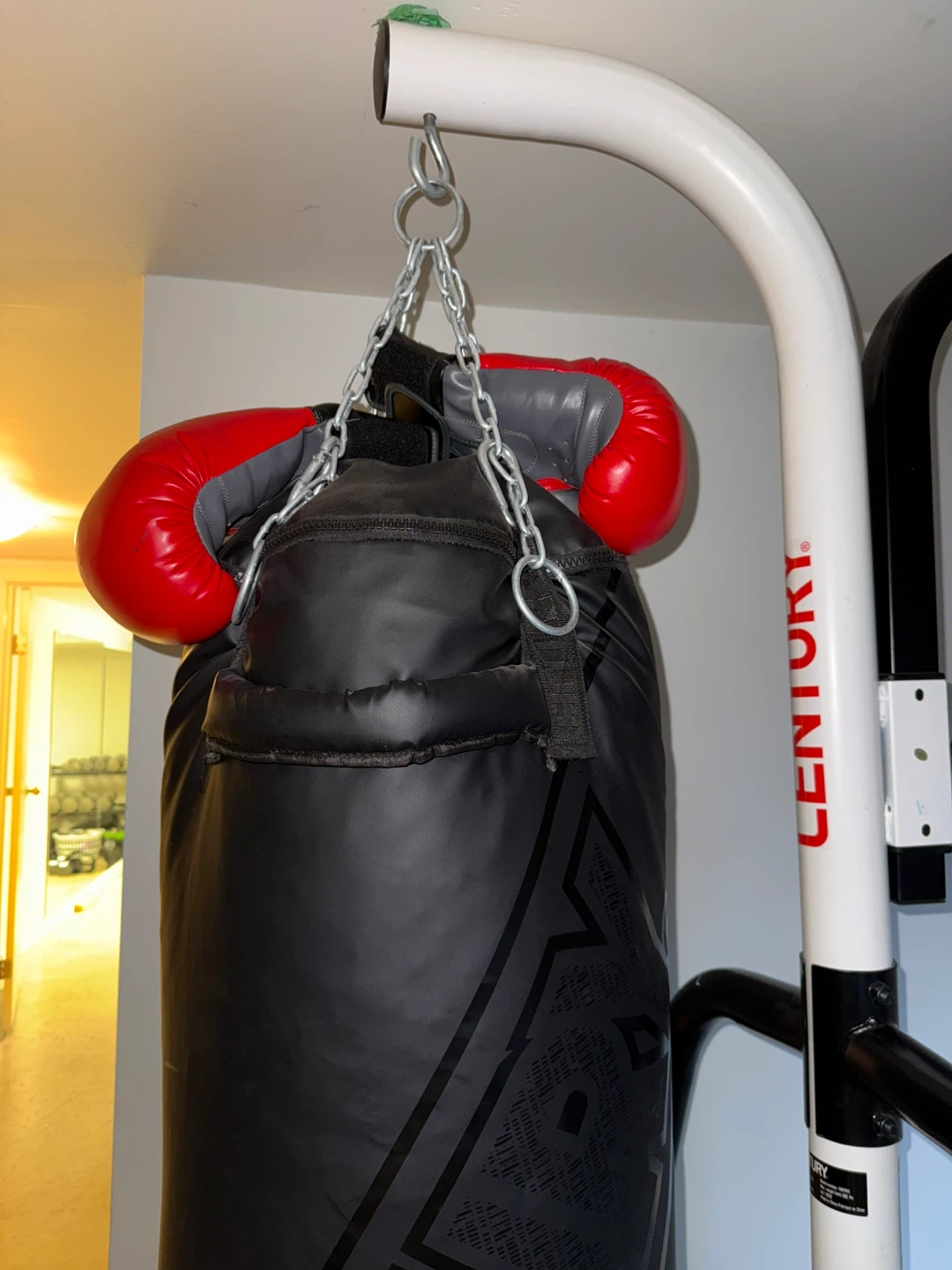 Century Boxing Stand with Punching Bag and Speed Bag - photo 3