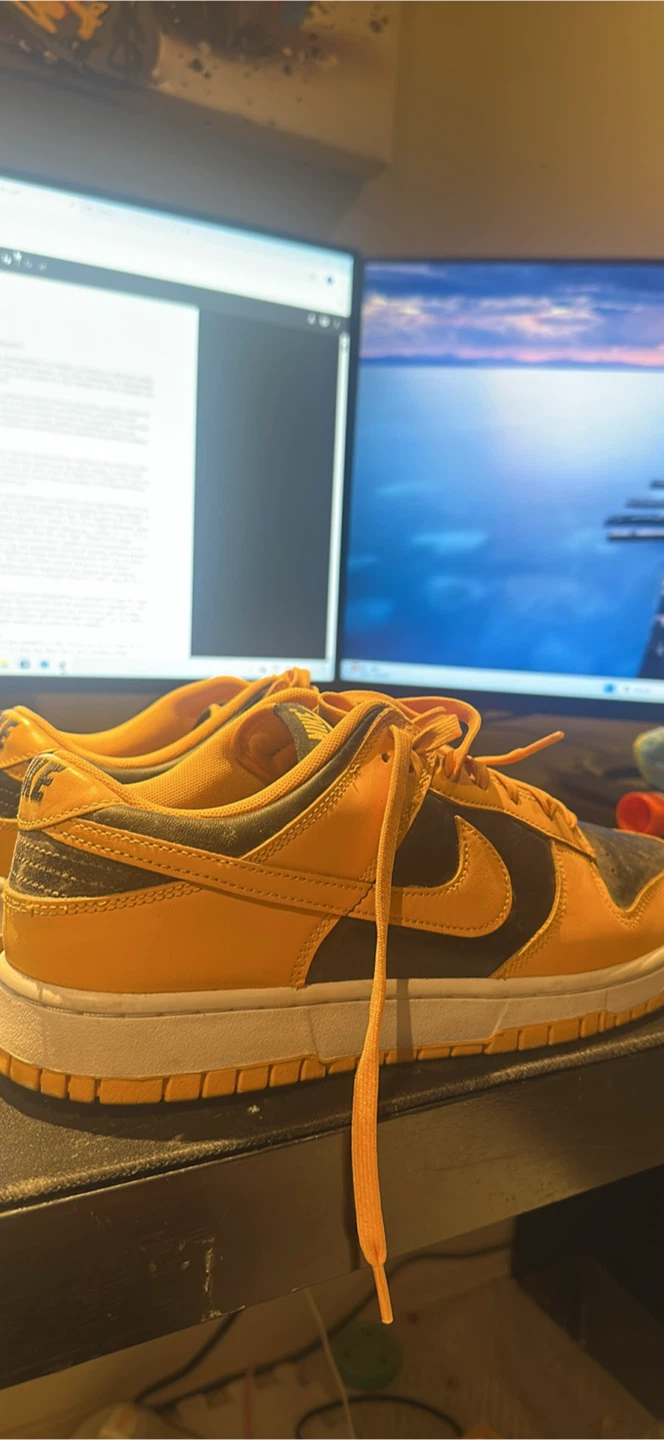 Nike Dunk Low
