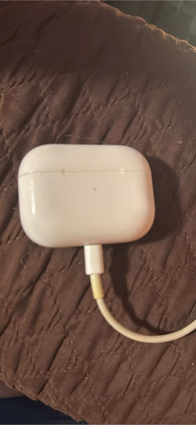 Apple AirPods Pro Charging Case