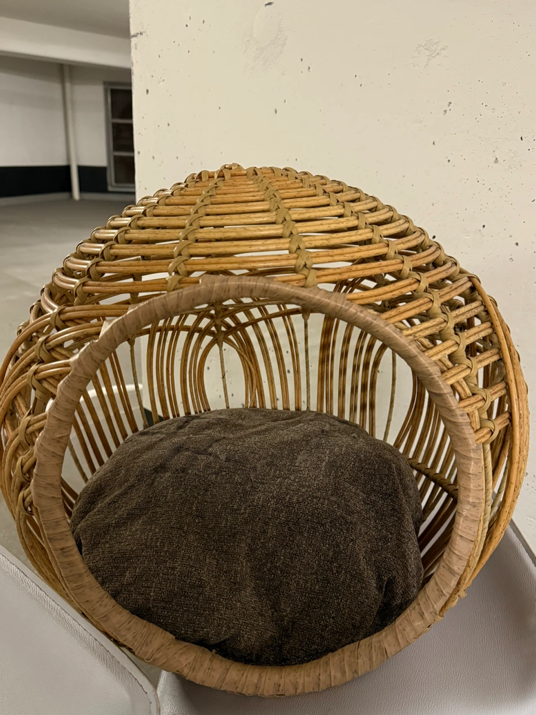Pet Bed with Cushion