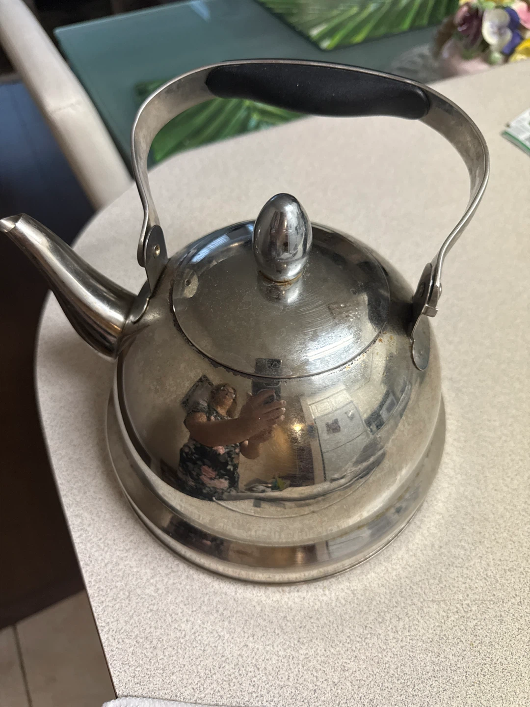 Stainless Steel Tea Kettle