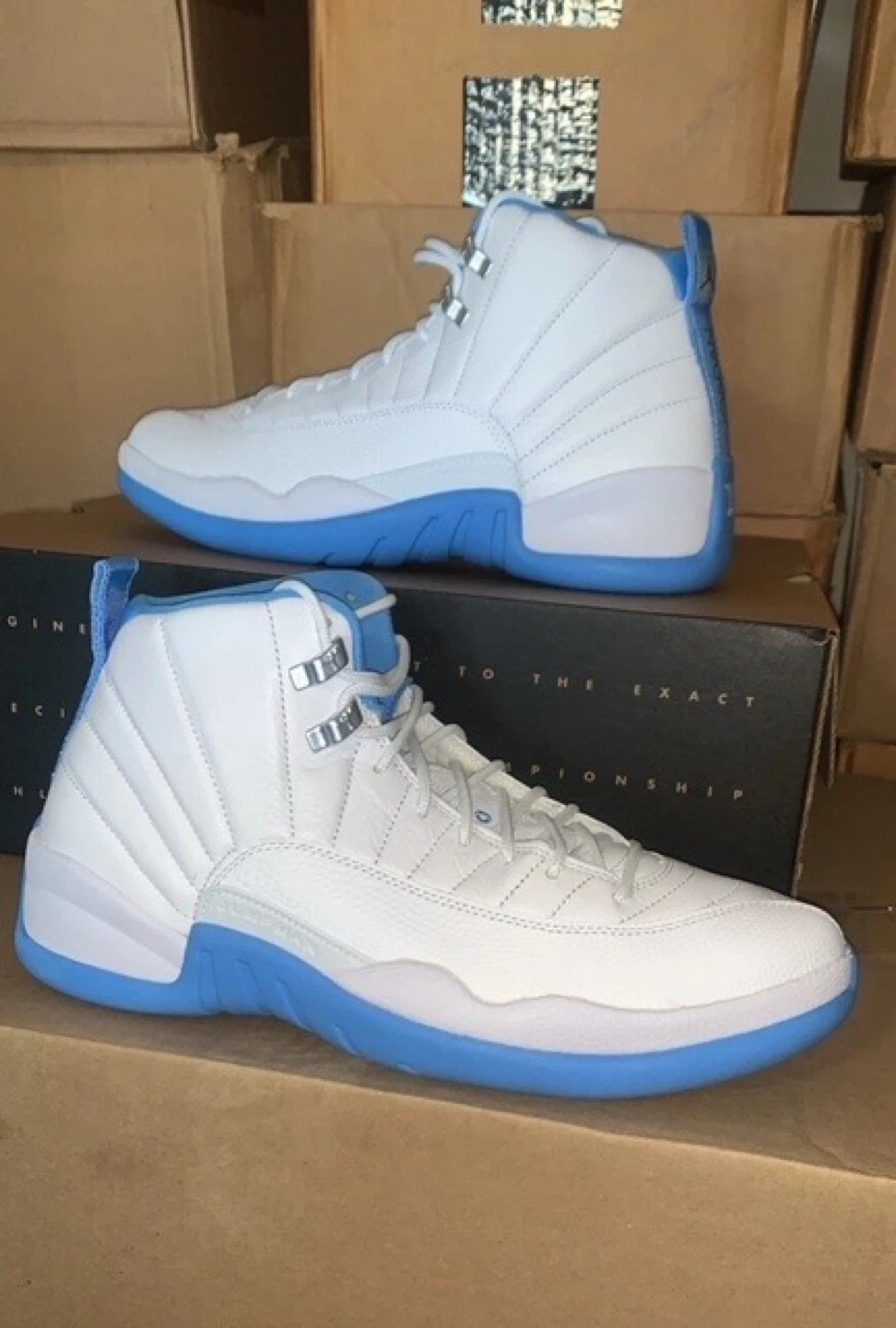 Brand new Air Jordan 12 Retro Melo size 9