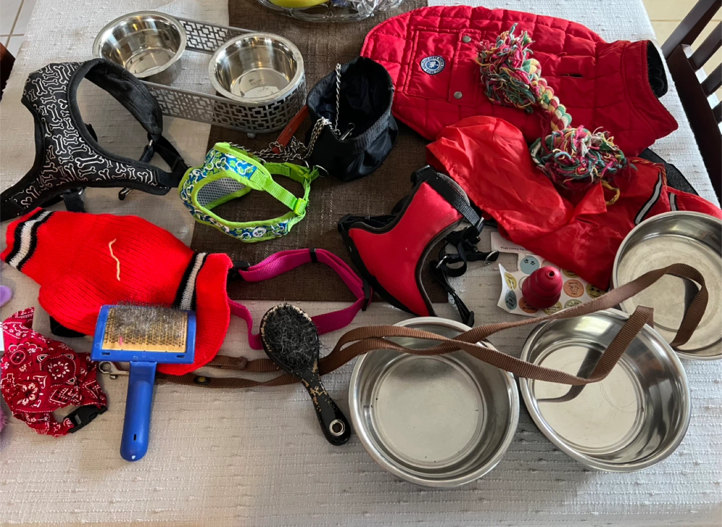 Dog accessories.  Take it all
