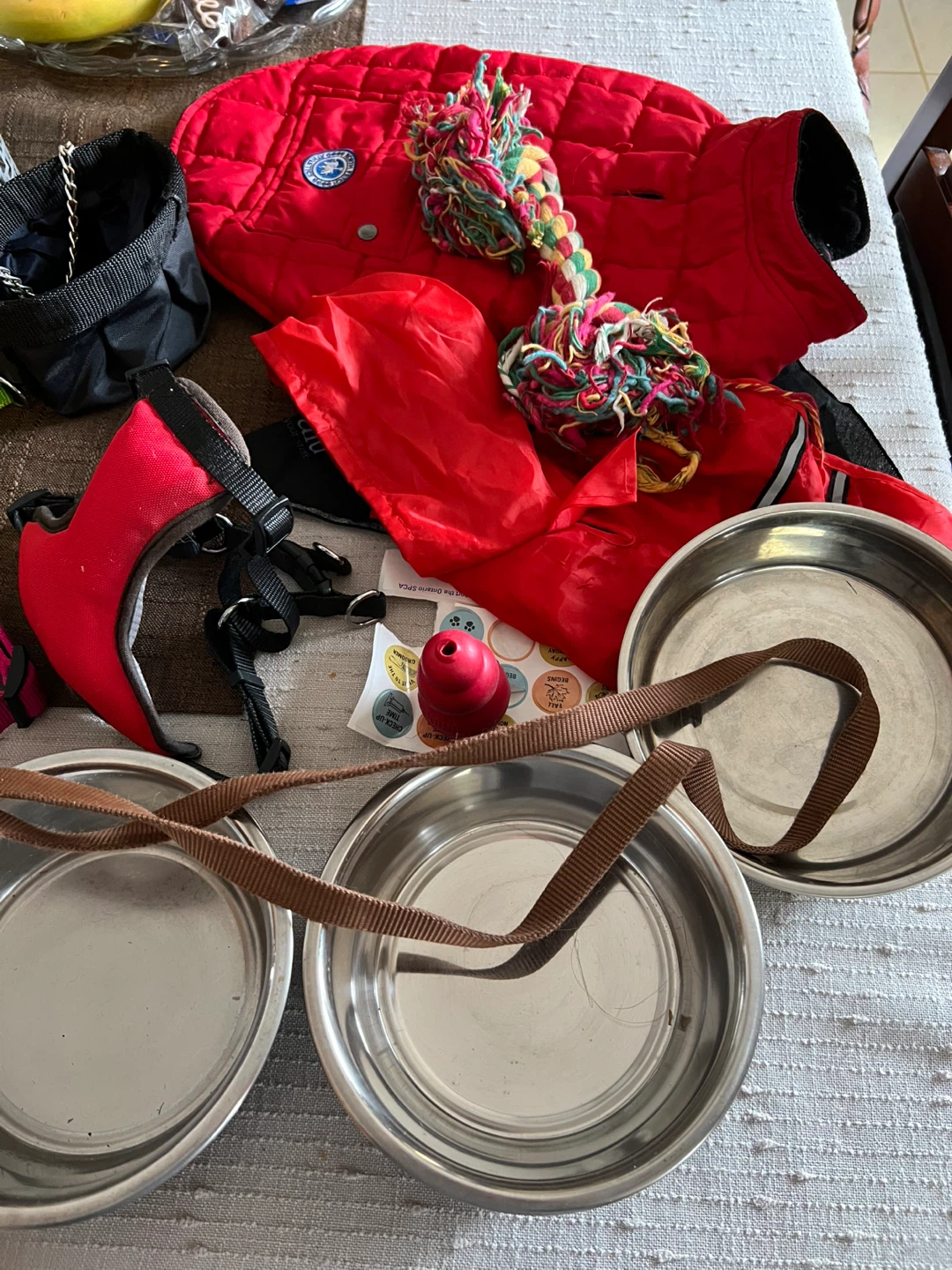 Dog accessories.  Take it all - photo 2