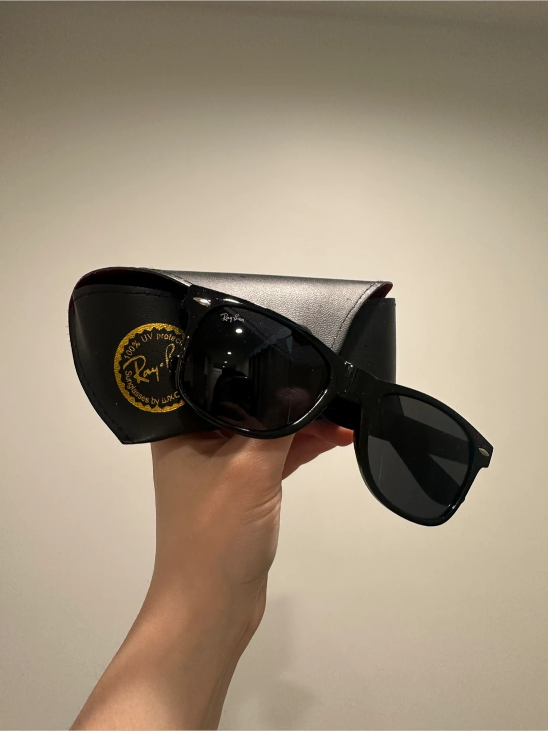 Ray-Ban Sunglasses (wayfarer)