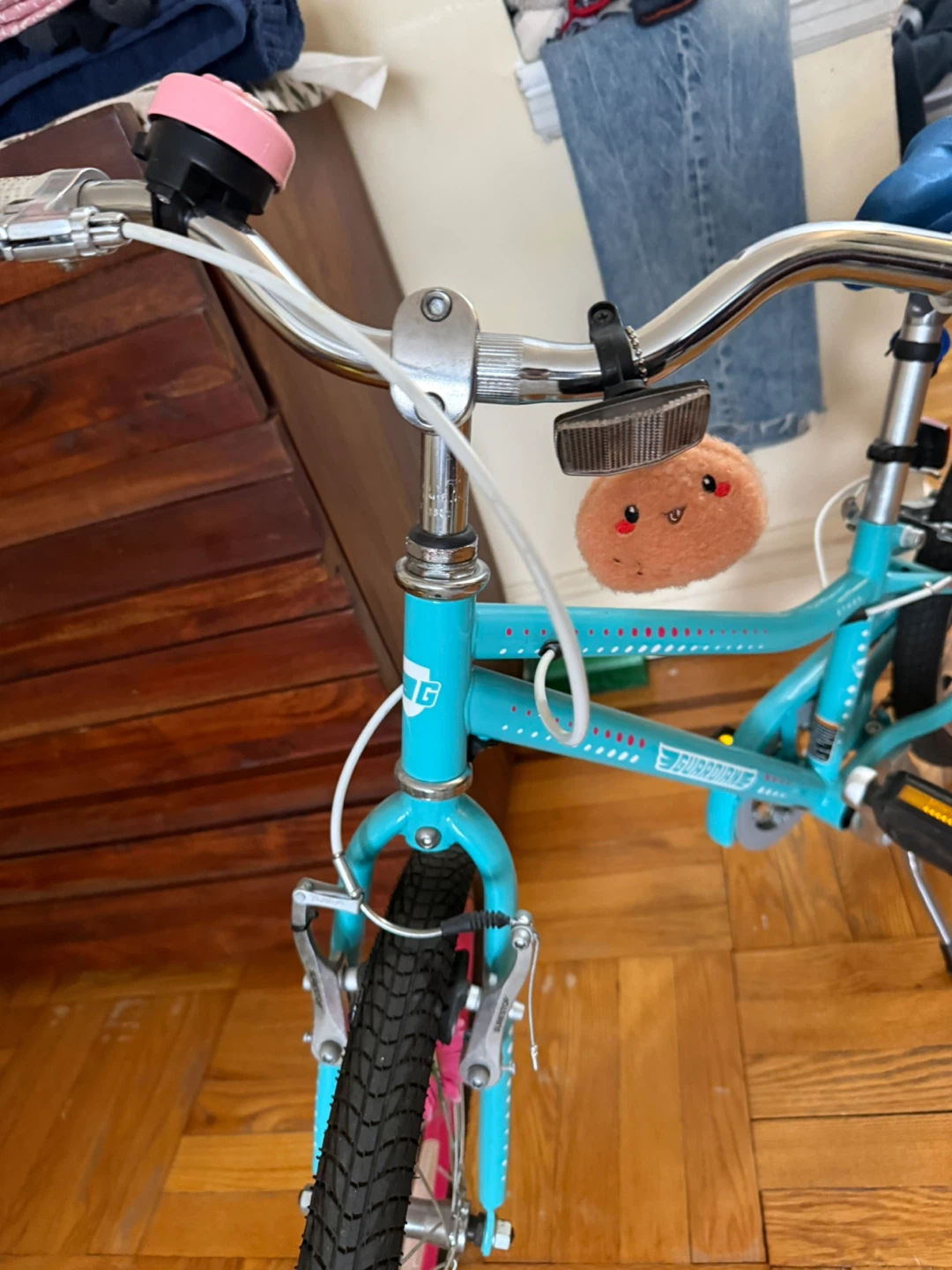 Guardian Ethos Kids Bicycle - Teal/Pink