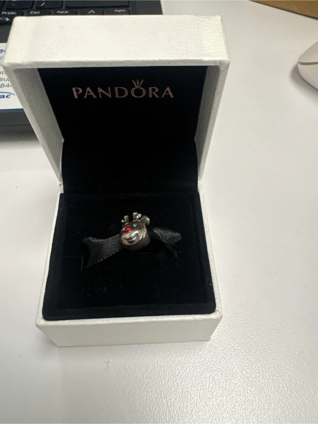 Pandora Sterling Silver Charm 🏆