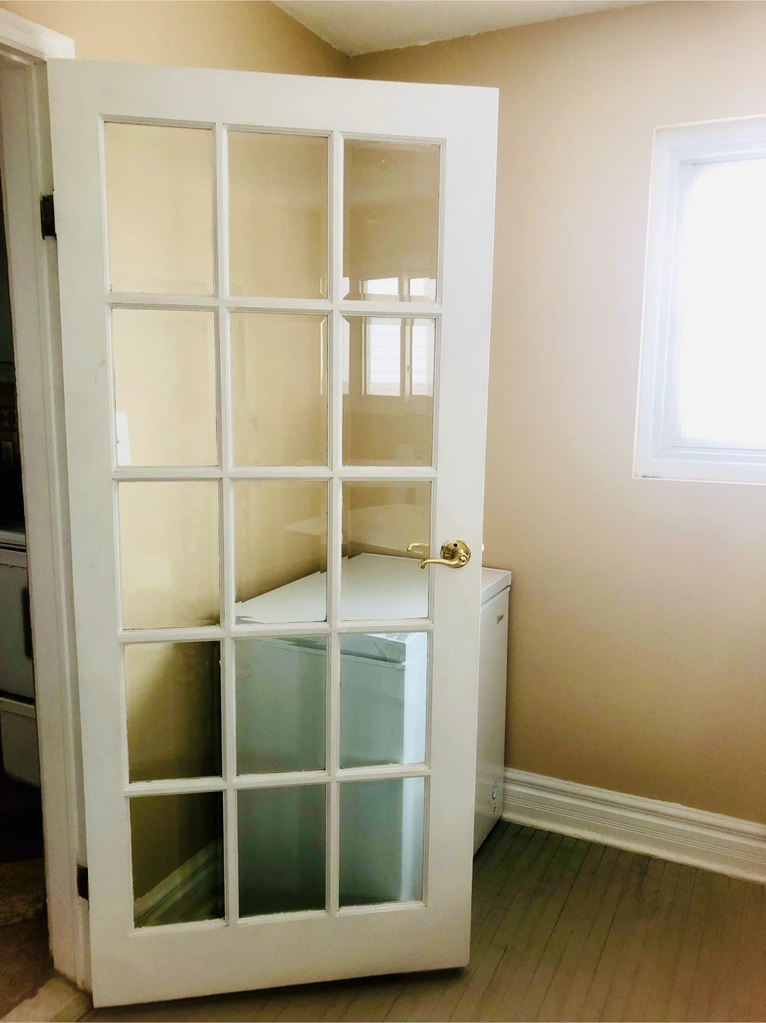 White French Door with Glass Panes - photo 2