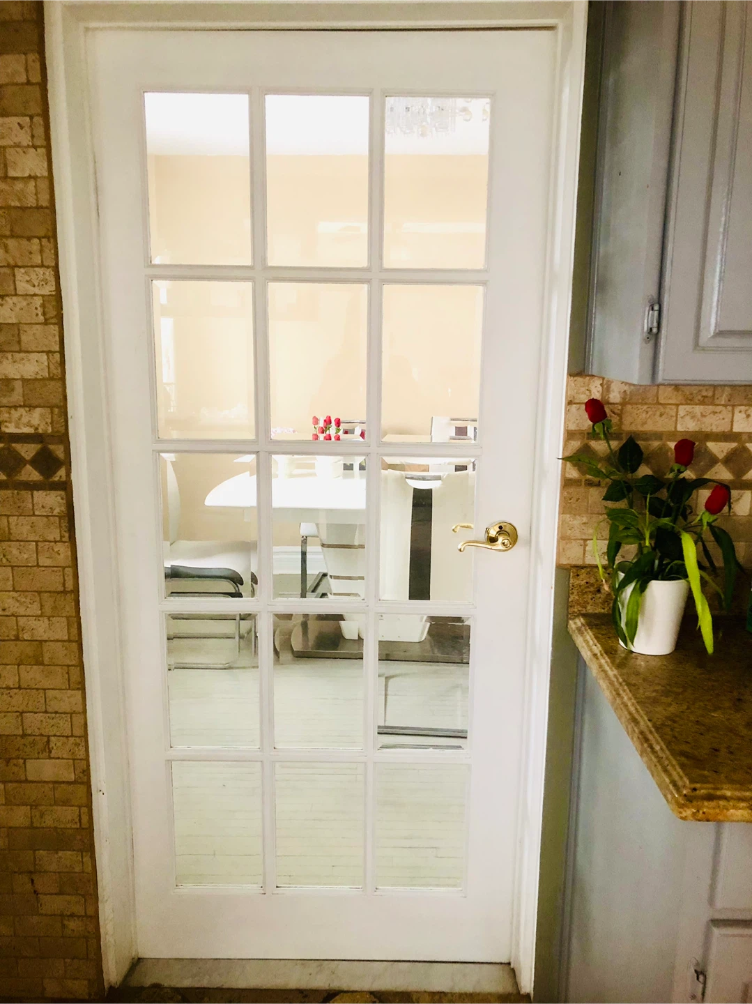 White French Door with Glass Panes