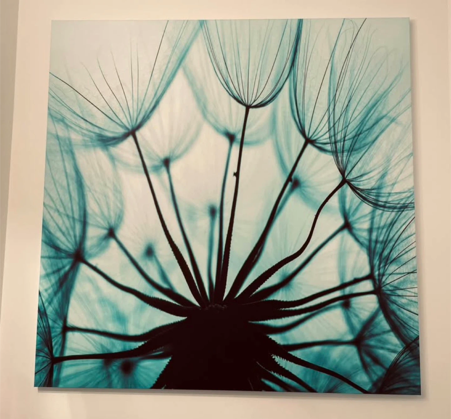 Canvas Wall Art - Dandelion Close-up