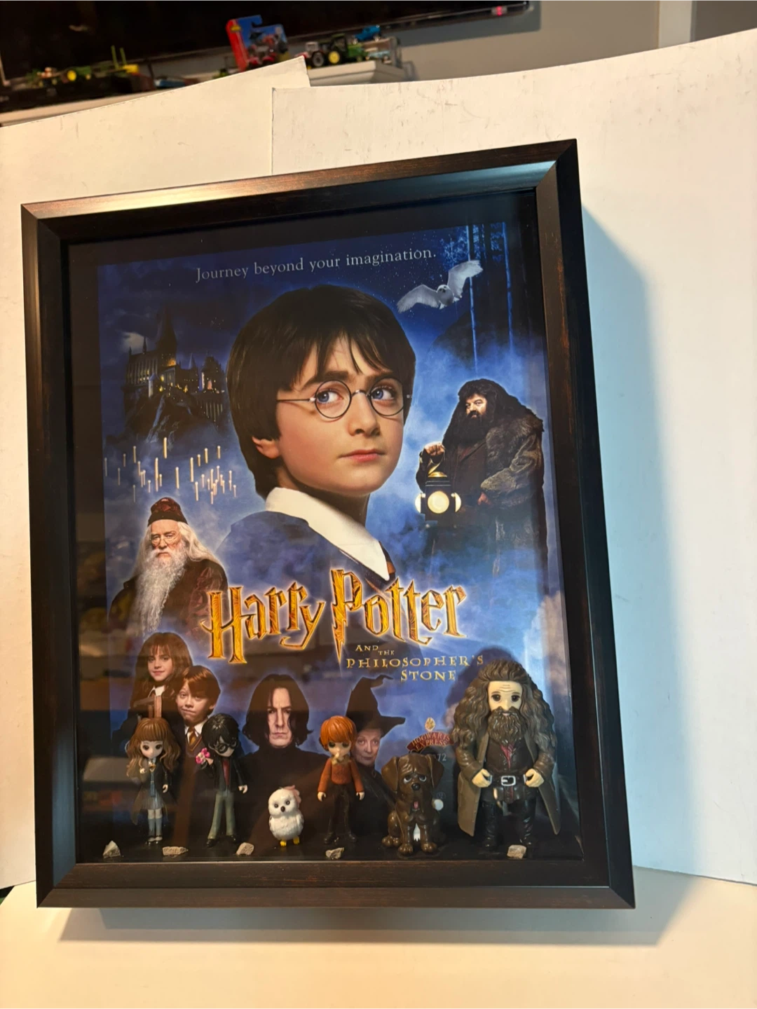 Harry Potter and the Philosopher's Stone Shadow Box Display