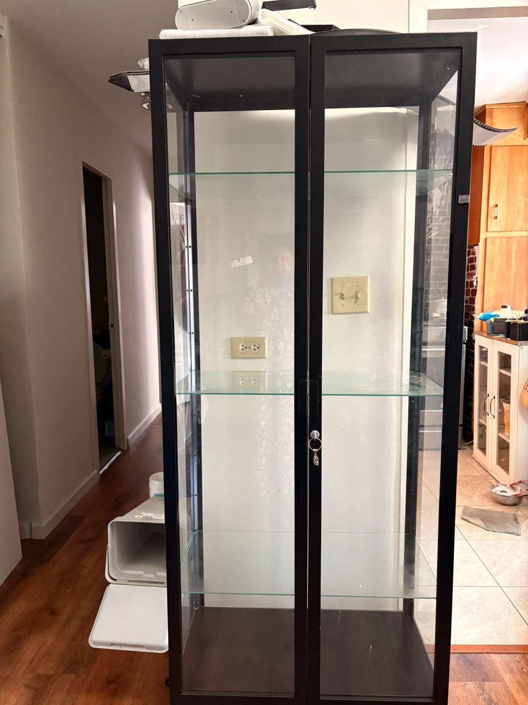 Glass Display Cabinet with Black Frame