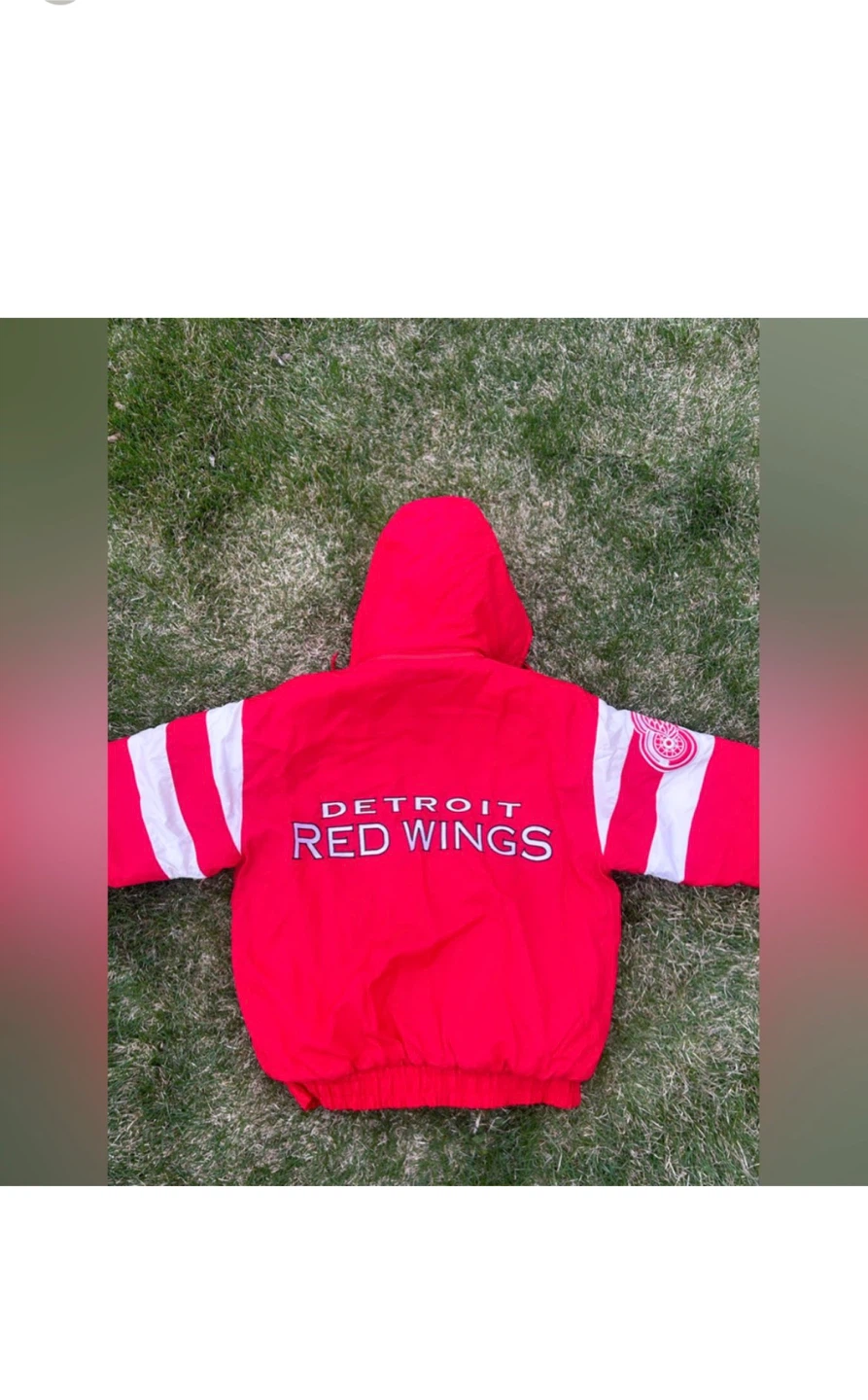 Detroit Red Wings Logo Athletic Jacket - photo 2