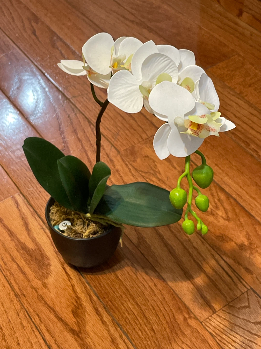 Artificial White Orchid Plant in Black Pot